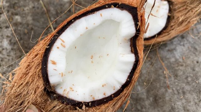 Close up of a person holding a freshly broken half of a coconut with white flesh and brown husk