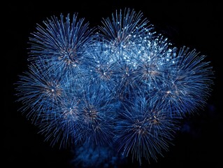 Fototapeta premium High quality photo of Vibrant Blue Fireworks Exploding on Black Night Sky