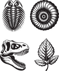 Fossil and dinosaur skull illustrations in black and white © MdMezbahul