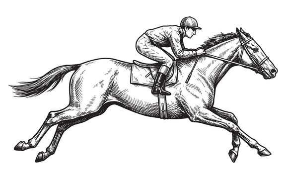 Horse Racing Jockey Riding Galloping Horse Sketch