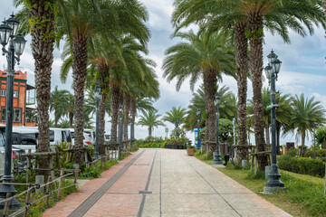 Fototapeta premium Palm tree canopy in a Japanese tourist resort