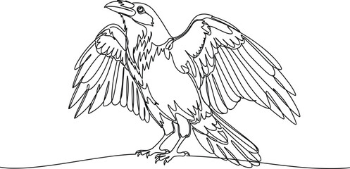 Obraz premium Raven line art illustration, detailed bird outline drawing, flying crow wings spread, hand drawn vector, isolated on white background for nature design use