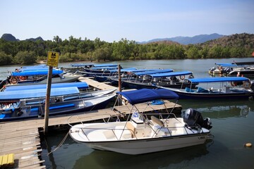 Fleet of Blue Tourist Boats Docked at Tropical Mangrove Jetty