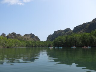 Kayakers Exploring Calm Waters Surrounded by Lush Mangroves and Karst Mountains, Langkawi, Malaysia