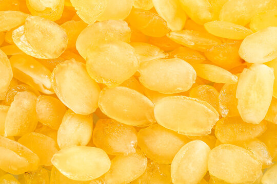 Fresh Yellow Soapnuts Yunnan China - Natural Saponaria Pod Close-Up