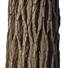 Naklejka premium Close-up of tree bark 