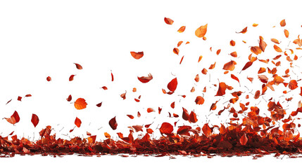 Scattered, orange-red petals cascading downwards against a solid black background