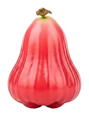 Vibrant roselle fruit harvest garden close-up photography nature isolated on transparent background