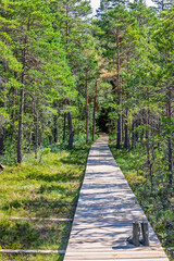 Obraz premium Forgotten wellington boots on a walking trail in a forest