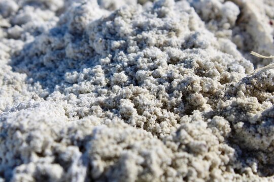 salty sand on the beach of the salton sea