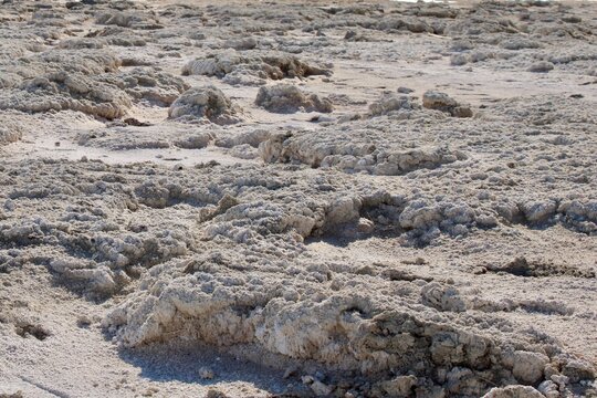 sand on the shore of the salton sea
