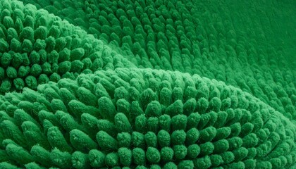 Green, textured, microscopic view of closely packed, cylindrical structures