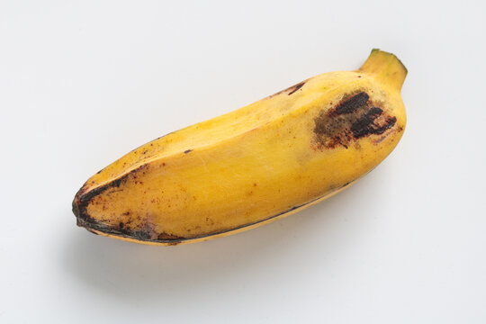 One saba banana (pisang kepok) isolated on a white background.