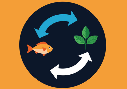 Illustrative graphic depicting the nitrogen cycle with a fish, plant, and arrows showcasing symbiotic relationships. Vibrant colors and clean design for eco-friendly concepts.