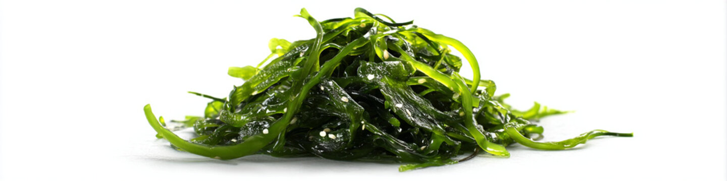 A pile of wet and shiny seaweed on a plain white background for culinary or nutritional use