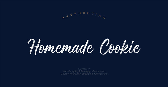 Homemade Cookie, Hand drawn vector alphabet. Modern monoline signature script font. Elegant Signature Font. Best Alphabet Beautiful Calligraphy Signature Font
