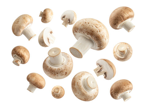 Cluster of Flying Champignon Mushrooms in Mid-Air, dynamic group composition, isolated on transparent background
