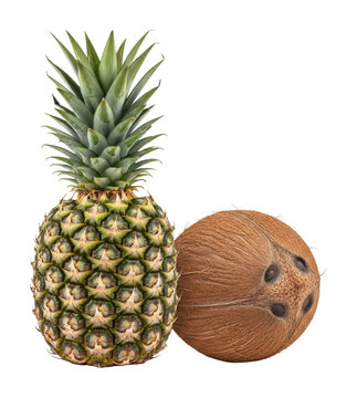Neutral background food photography pineapple and coconut design isolated on transparent background