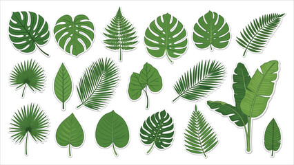 Jungle Leaves Vector Set &ndash; Cartoon Tropical Plants, Palm, Banana & Monstera Foliage