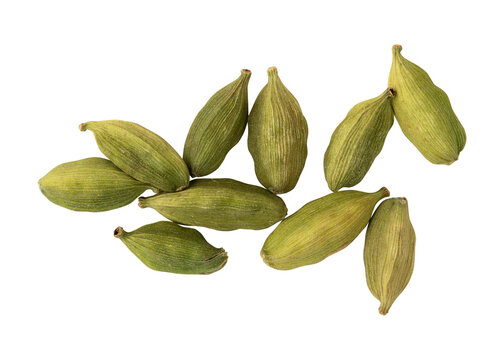 Fresh green cardamom pods isolated on transparent background