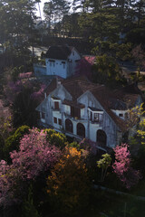 Aerial View  of an ancient French villa with blooming pink cherry blossoms, Dalat, Vietnam