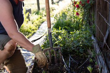 Obraz premium Gloved Hand Gripping Fork During Soil Work