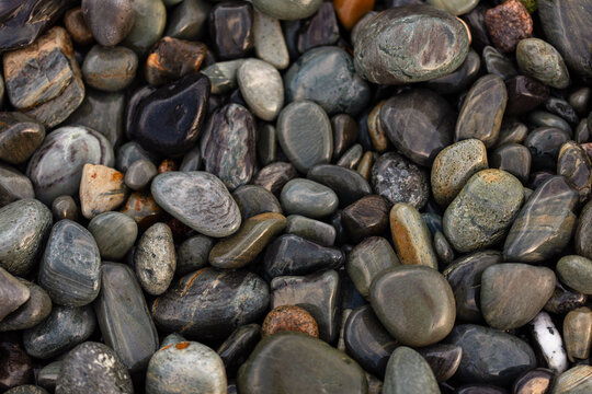 close-up of wet rocks and pebbles on the shoreline of Maine