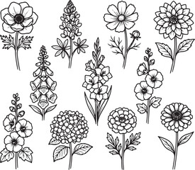 Set of Detailed Hand-Drawn Botanical Flower Sketches and Wildflower Illustrations