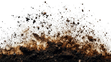 Obraz premium A close-up view of dark soil with lighter particles dispersed above on black