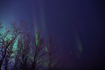 Fototapeta premium Aurora borealis, polar lights with Milky Way stars.