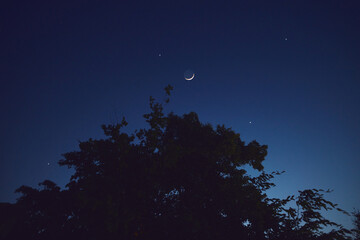 Fototapeta premium Crescent young Moon with stars, planets and rural countryside tree silhouettes.