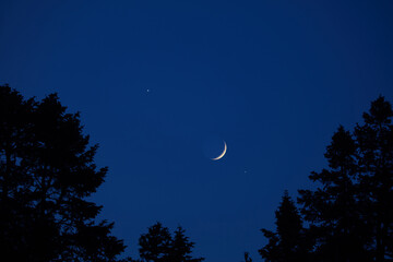 Fototapeta premium Crescent young Moon with stars, planets and rural countryside tree silhouettes.