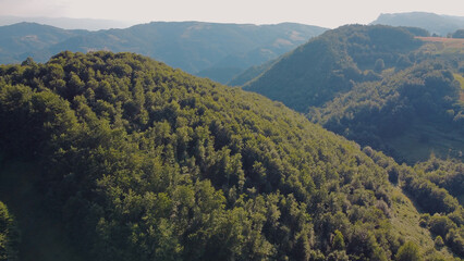 Obraz premium Tranquil sunny summer landscape with green fields and hills.