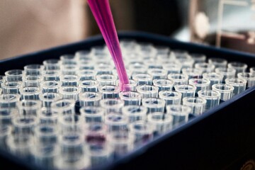 A scientist's pipette dispenses a pink liquid into a row of clear test tubes, symbolizing medical research, laboratory testing, and scientific innovation in a clean environment © Nazar