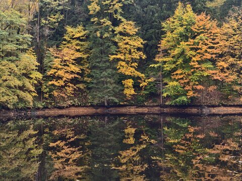 peaceful waterside scene showcasing seasonal leaf changes and serene environment for leisure