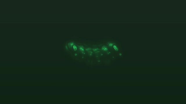 Minimal Green Geometric Lights Moving Across Dark Background