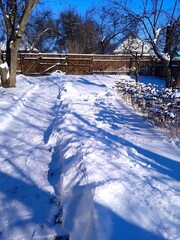 winter in a private yard