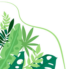 Various green tropical leaves and plants on white background © kurdiman