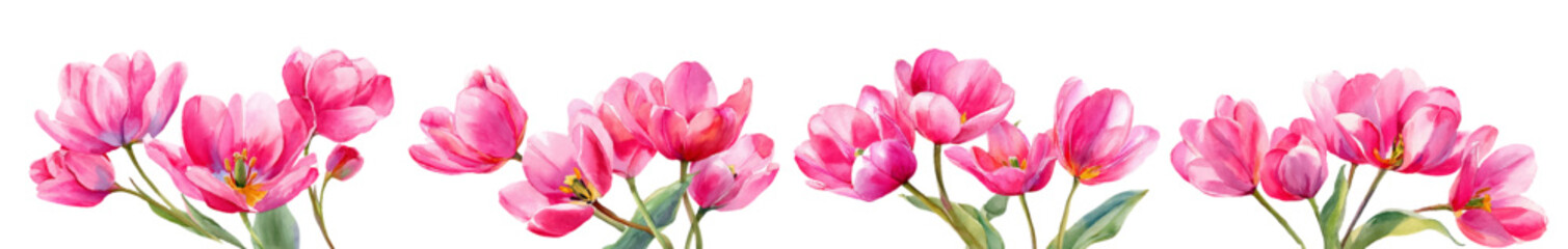 Fototapeta premium Watercolor pink tulip bouquet with spring flowers on white background. Botanical floral design for Easter banner, vintage illustration with delicate petals and green leaves. Vector illustration.