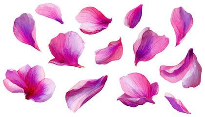 Pink flower petals drift gracefully across a watercolor spring background, featuring cherry blossoms and soft gradient hues ideal for wedding templates and floral projects. Vector illustration. © Narin