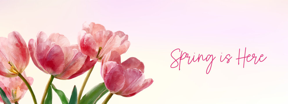 Watercolor bouquet of tulips with pink spring flowers on pastel background. Vintage floral design for spring banner, botanical illustration with delicate petals and tulips. Vector illustration.