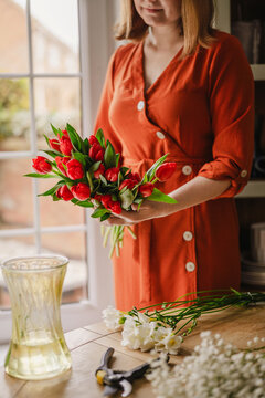 Woman arranging red tulip bouquet with gypsophila indoors in spring