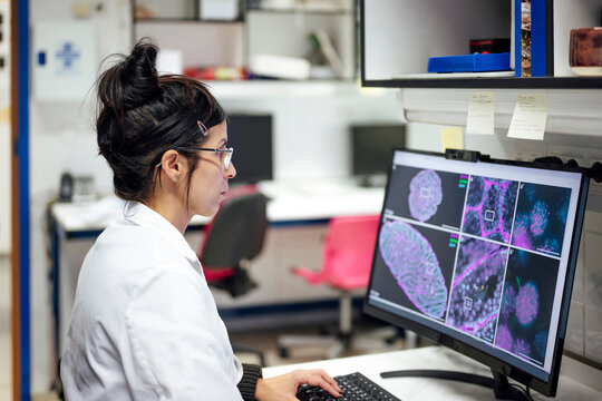 Scientist analyzing microscopic images on computer in laboratory
