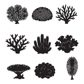 Diverse Silhouette Coral Collection Underwater Marine Life Ocean Ecosystem Biodiversity Aquatic Flora Sea Botanic Garden Vector Art