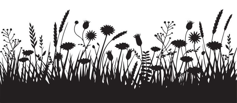 Black silhouette meadow wild grass border with summer flowers and field herbs isolated on white background art
