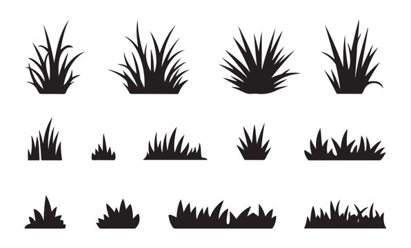 Assortment of black grass tufts and clumps in silhouette isolated on a white background for design