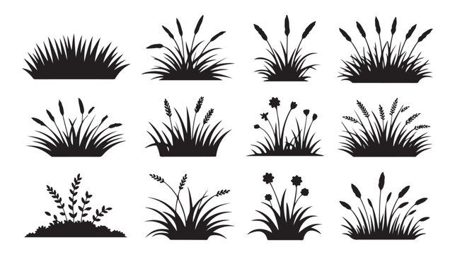Grass silhouette collection with different types of weeds and meadow plants for outdoor nature garden design