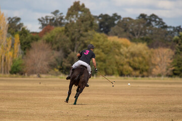 Polo horses, players, gear, equipment, tools, workers, field, sport