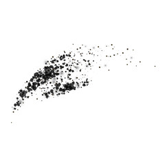 Obraz premium Dust powder splash effect, vector realistic charcoal particles splash, black dot grain overlay texture, ground splatter