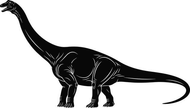 Black and white vector illustration of a long neck brachiosaurus dinosaur silhouette isolated on white background for prehistoric nature design